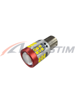 transparent-Photoroom (3) (1)