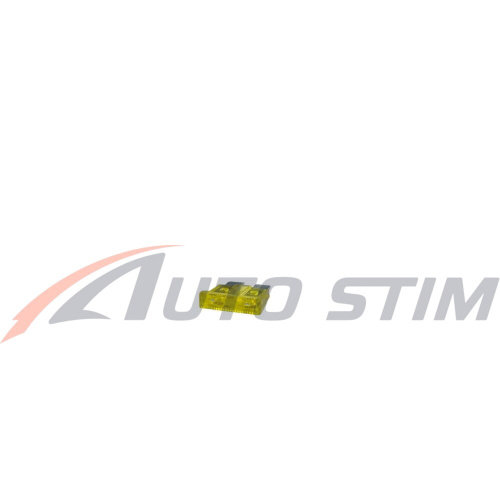 photo_2024-12-12_12-48-23