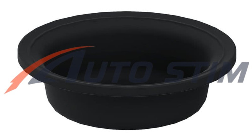 inside-placeholder-membrana-tormoznoi-kamery