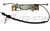 transparent-Photoroom (38) (2)