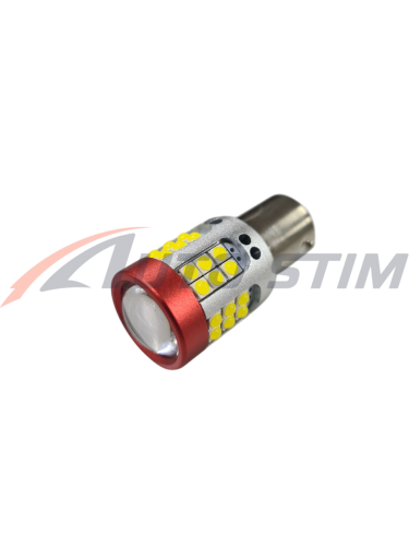 transparent-Photoroom (3) (1)